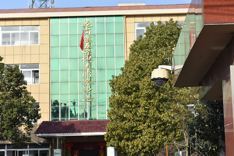 微信图片_202302011246201_副本